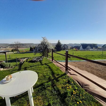 Location Type Gite, Chambre D'Hote, Meuble De Tourisme Dans Joli Petit Chalet Typique Et Ou Jolie Roulotte Type Boheme Waldighoffen Экстерьер фото