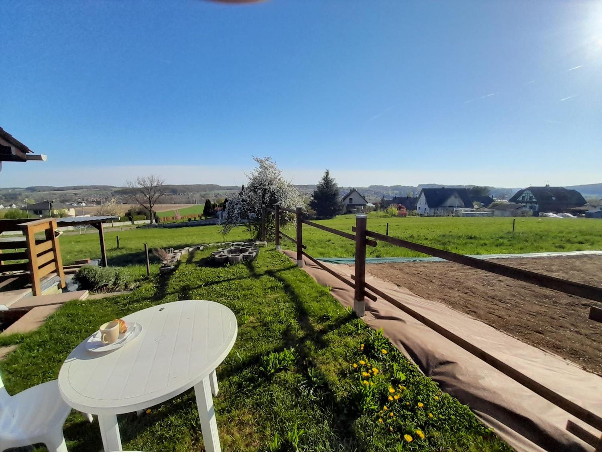 Location Type Gite, Chambre D'Hote, Meuble De Tourisme Dans Joli Petit Chalet Typique Et Ou Jolie Roulotte Type Boheme Waldighoffen Экстерьер фото